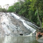 Brejauba2