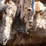 DSCF5567 DSCF5567