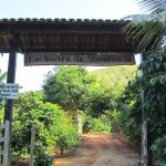 IMG_2705 cópia