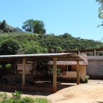 JABOTICABEIRA 04