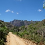 JABOTICABEIRA