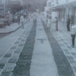 Corpus Christi (12)