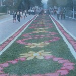 Corpus Christi (24)